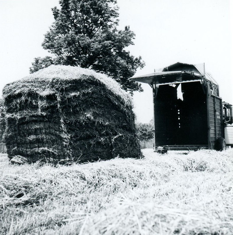 June 7, 1976
Dale Baker
Photo ID#: A196