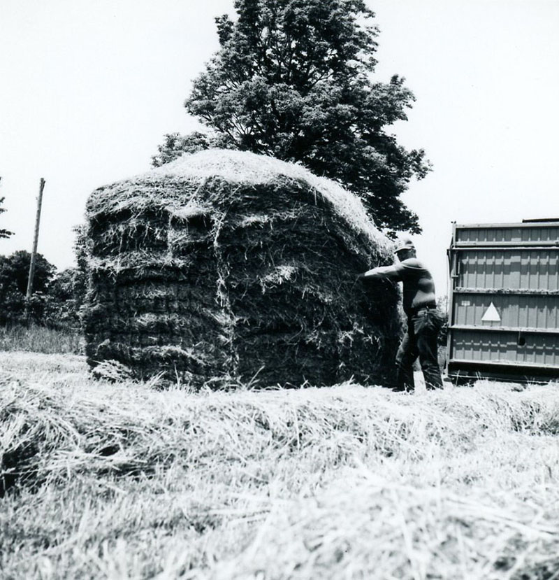 June 7, 1976
Dale Baker
Photo ID#: A197