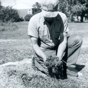 06_07_1977_John_Scherer.Silage_website-1478