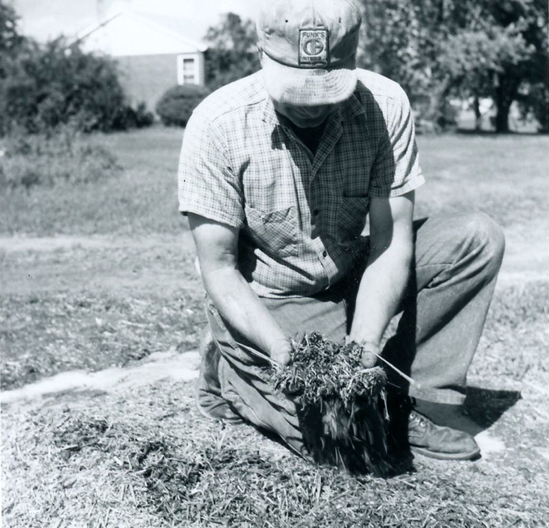 June 7, 1977
John Scherer's silage
Photo ID#: A883