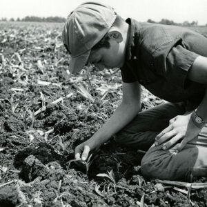 06_09_1967_Ted_Putt_examining_minimum_tillage_corn_on_father_s_farm__Kenneth_Putt__website-658