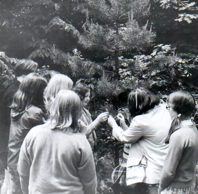 June 9, 1971
Girl Scout Camp
Photo ID#: RSWCD379