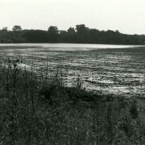 06_09_1981_Flooded_cornfield_after_5_inch_rainfall._John_Winger_Farm__Mifflin_Twp__2_website-5336