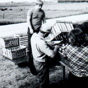 06_10_1976_Melvin_Hile_Sorting_Apples_website-1217