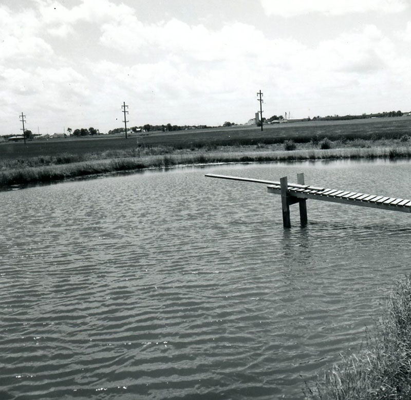 June 12, 1975
John Scherer's pond
W. Smiley Road, Shelby
Photo ID#: S31