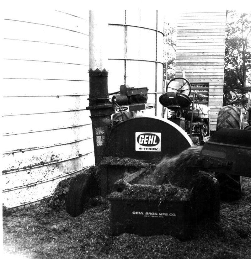 June 18, 1963
C.Oyster Farm
Photo ID#: A394