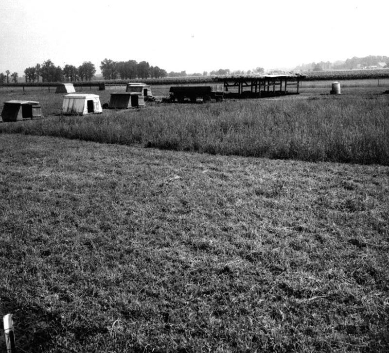 June 18, 1971
George Shoemaker Farm
Photo ID#: A395