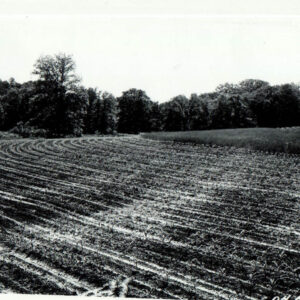 06_19_1940_H.C._Snyder_Butler_Countour_cultivation_of_corn_with_meadow_control_strips0001-2304