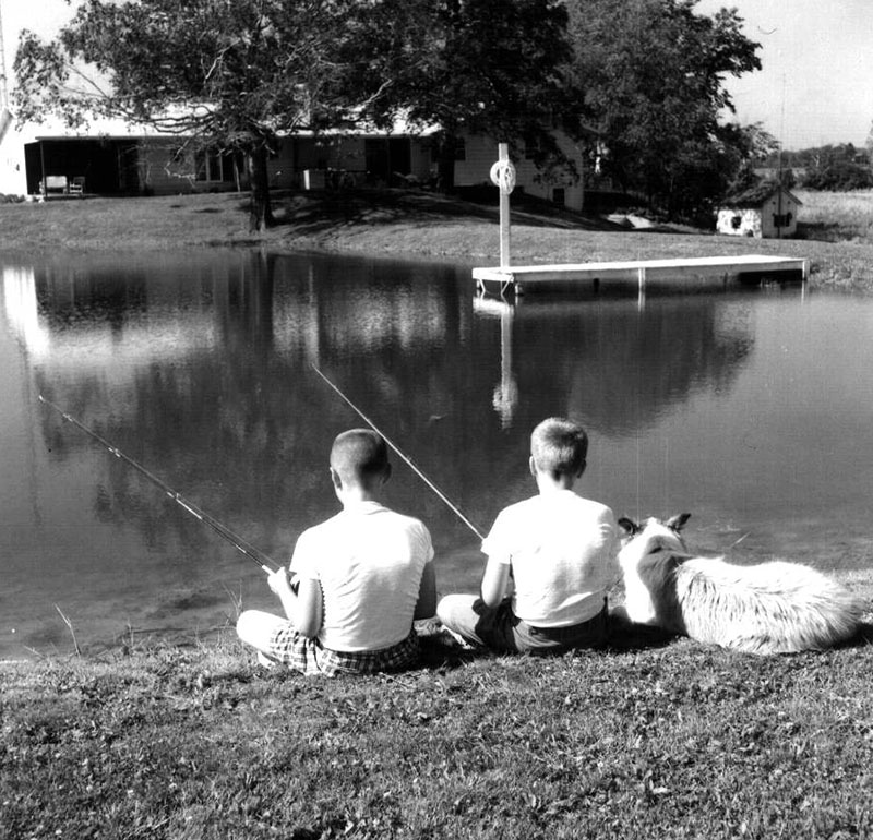 June 22, 1964
Julias Clabaugh Farm Pond
Photo ID#: S35