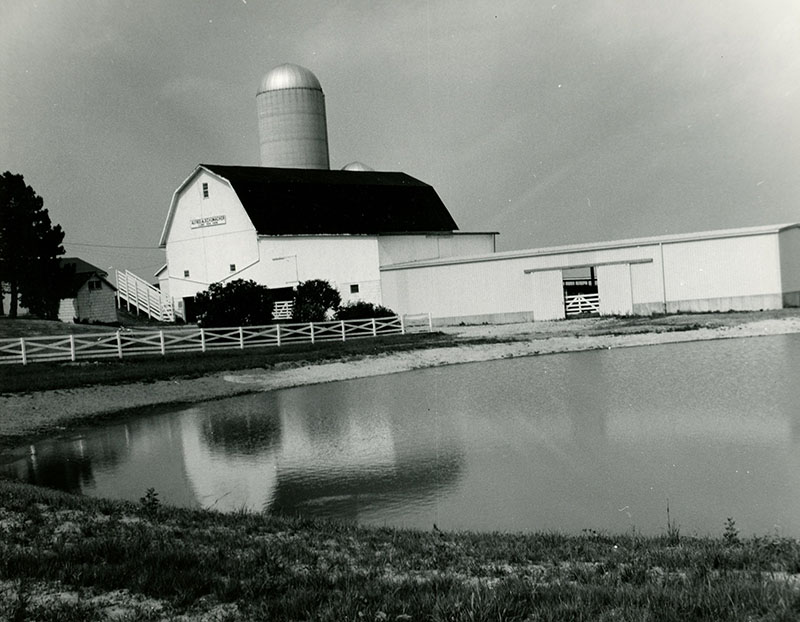 June 22, 1971
Alfred Schumaker Farm
Photo ID#: 398