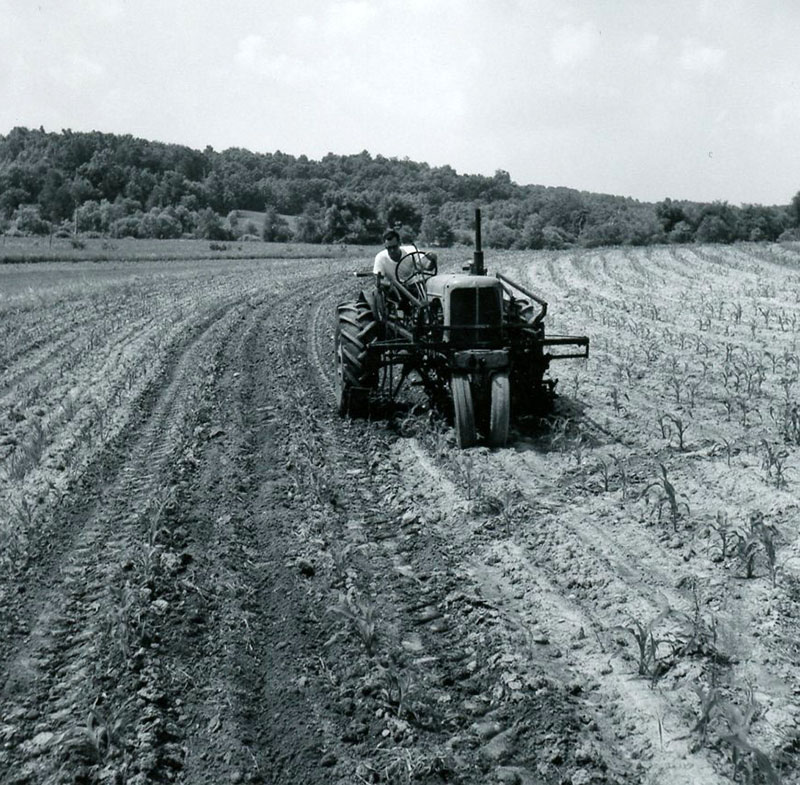 June 23, 1967
Jack Gatton
Photo ID#: A209