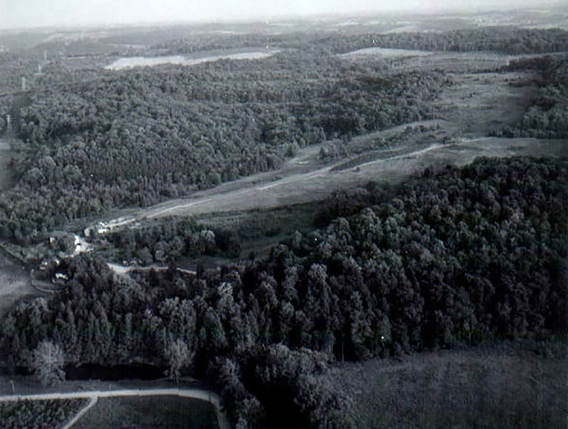 June 23, 1967
Wade and Gatton Nursery, Southeast
Photo ID#: AE139