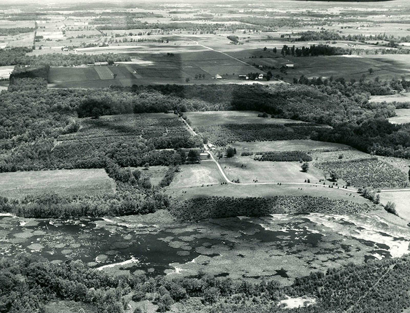 June 24, 1964
John Hattery Farm
Weller Township
Photo ID#: AE17