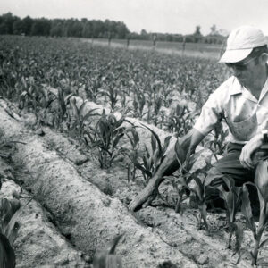 06_27_1963_Kenneth_Putt._Minimum_tillage_corn_website___Copy-1173