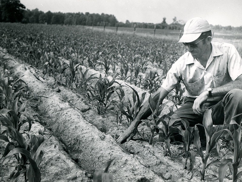 June 27, 1963
Kenneth Putt
Minimum tillage corn
Photo ID#: A610