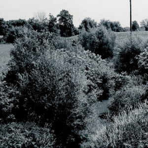 06_28_1962_A_before_view_of_Marsh_Run__2_channel_looking_east_from_bridge_on_Sharp_Rd_website-5118