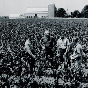 06_28_1962_L_to_R_Roscoe_Major__Chester_Jones__Lowell_Stranch_Robert_Hilliard__WUC_looking_at_good_corn_in_field_in_Marsh_Run_Watershed__2_where_no_flooding__website-5119