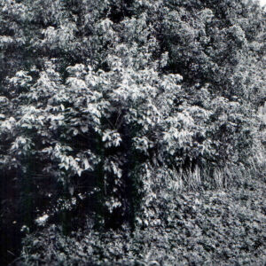 06_28_1962_Marsh_Run_2__SE_from_David_Rd._bridge_near_Avon_Clevinger_Rd.0001-2340