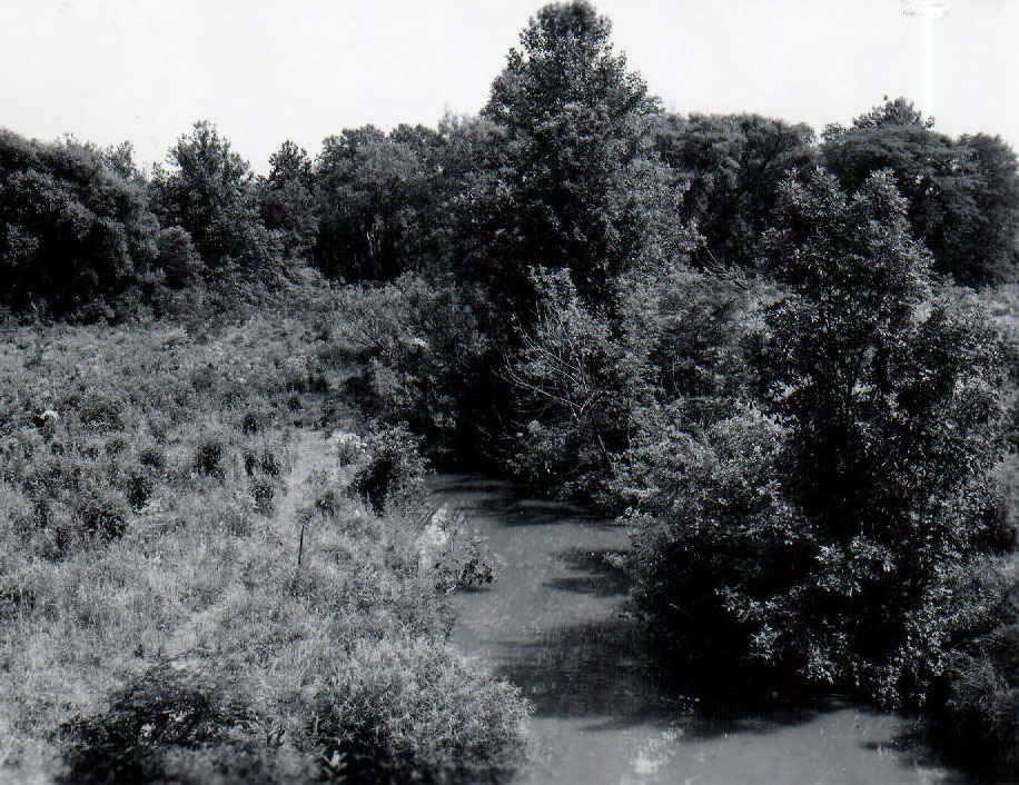 June 28, 1962
Marsh Run 2 East of State Route 61
Photo ID#: W9