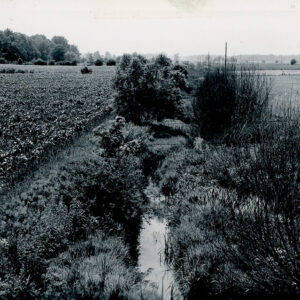 06_28_1962_View_of_main_channel_of_Marsh_Run__2_Watershed_looking_west_from_bridge_on_Kuhn_Rd_near_the_Roscoe_Major_farm_website-5128