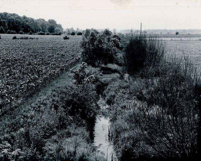 June 28, 1962
View of main channel of Marsh Run 2
Watershed looking west from bridge on Kuhn Road
Near Roscoe Major's farm
Photo ID#: W99