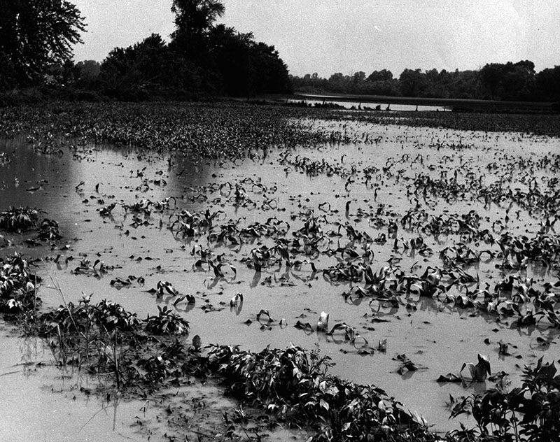 June 29, 1967
Kenneth Putt Farm
Photo ID#: L87