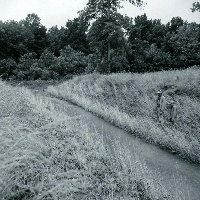 June 29, 1967
Putts Farm
Photo ID#: A106