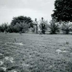 06_29_1971_G.Smith___R_Keef._W._Enderby_Farm_website-4545