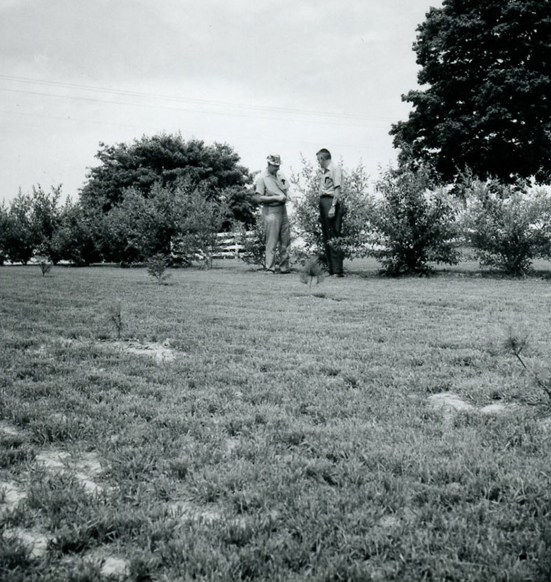 June 29, 1971
G. Smith and R. Keef
W. Enderby Farm
Photo ID#: S700