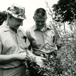 06_29_1971_Granville_Smith___Richard_Keef_with_Autumn_Olive_planted_in_1969_at_Wm_Enderly_Farm_4_website-2769