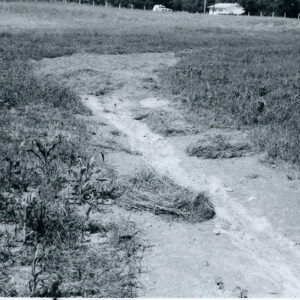 06_30_1980_Boliantz_waterway._Mulch_wash_due_to_excessive_early_summer_rains_website-5254