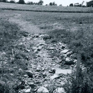 06_30_1980_Rip_rap_outlet_of_Boliantz_waterway._Oats_seeded_on_sides_website-5255