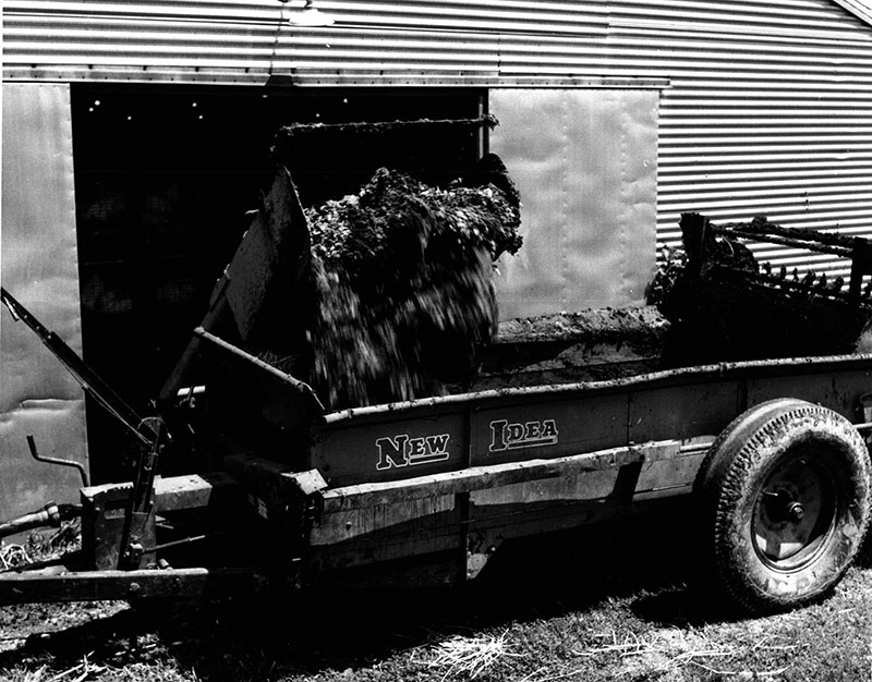 July 4, 1972
Elmer Snavely
As he emptied the manure from his chicken egg barn
Photo ID#: A26