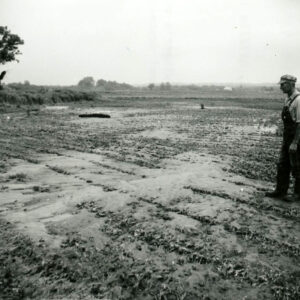 07_05_1969_John_Winger_looks_at_damage_to_his_soybean_field_by_silt___gravel_deposited_by_flood_of_July_4th._website-5418