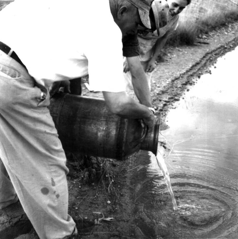 July 10, 1963
Fish Delivery 
Photo ID#: S70