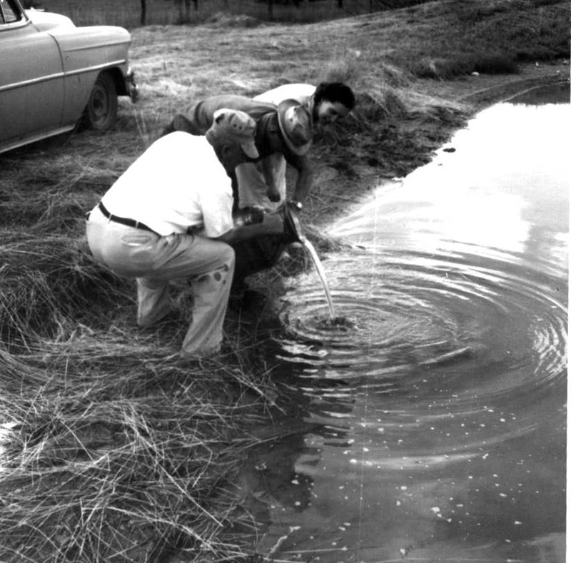 July 10, 1963
Fish Delivery 
Photo ID#: S73