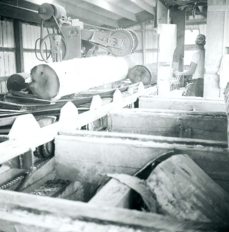 July 12, 1971
Merle Triplett Debanks
Kaple Sawmill
Photo ID#: S748