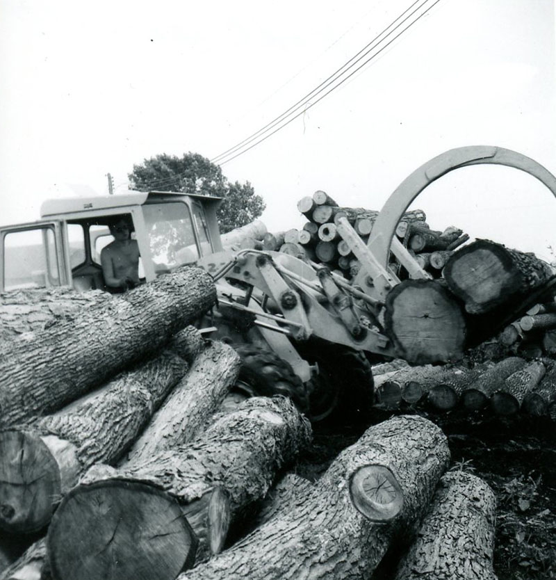 July 12, 1971
Kaple Sawmill
Photo ID#: S747