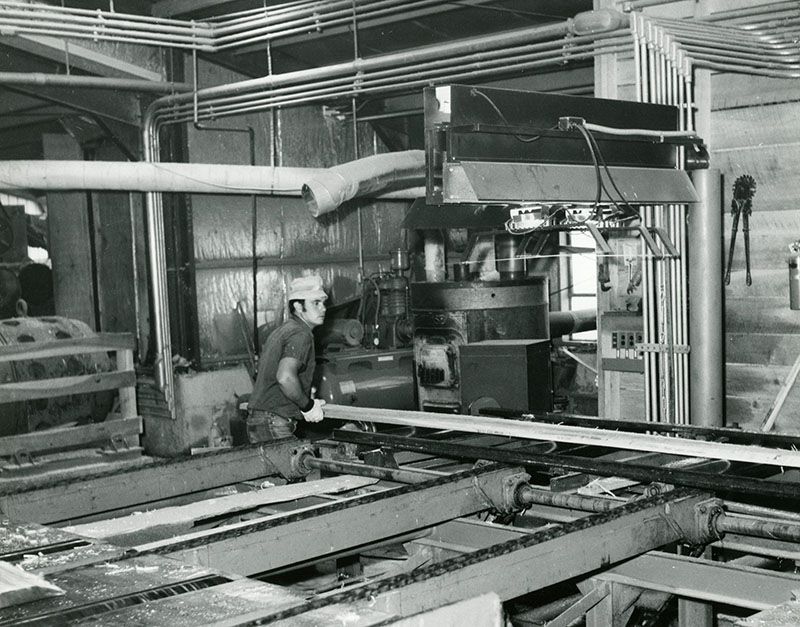 July 12, 1971
Roger Furr working an edger
Kaple Sawmill
Photo ID#: S146