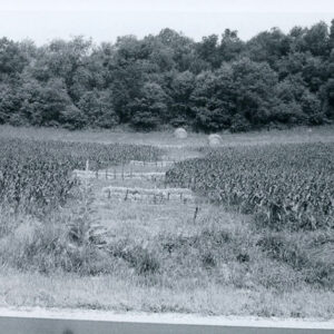 07_12_1980_Grass_waterway_successful_seeding_using_bales_to_divert___check_water_flow_website-5256