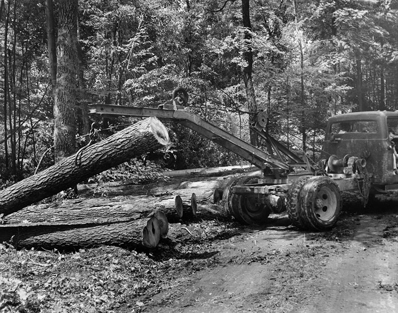 July 13, 1964
Kaple Lumber Co.
Sacred Heart Seminary Farm
Photo ID#: S148