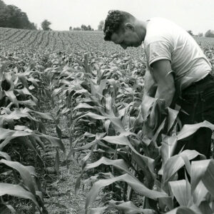 07_14_1970_James_Heffelfinger_no_till_corn._Meadow_crop_harvested__silage____field_planted_to_corn_also_for_silage_1_website___Copy-1177