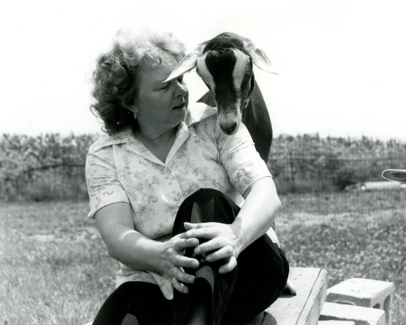 July 15, 1975
Mrs. Harry (Jean) White with goat
Photo ID#: A440