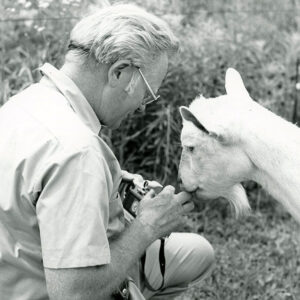 07_15_1975_SCS_Photographer_Erwin_Cole___Ivory_goat.__Harry_White_Farm_website-4392