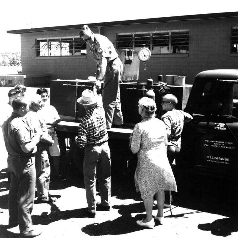 July 16, 1965
Fish Delivery
Photo ID#: S78