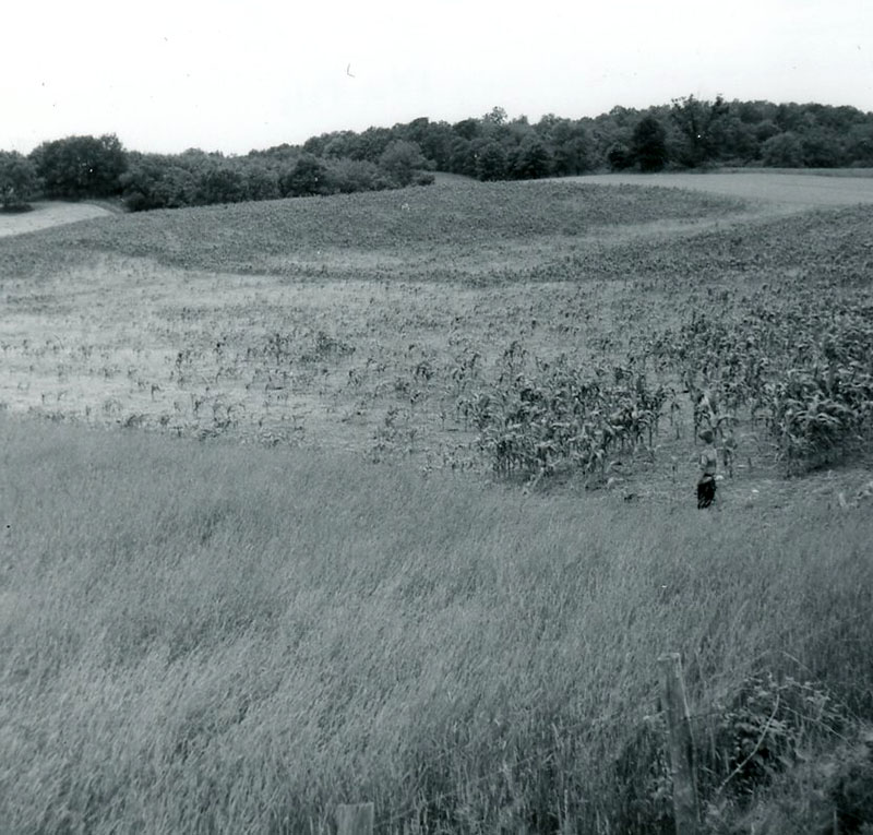 July 16, 1972
No-till contour strips
Photo ID#: A615