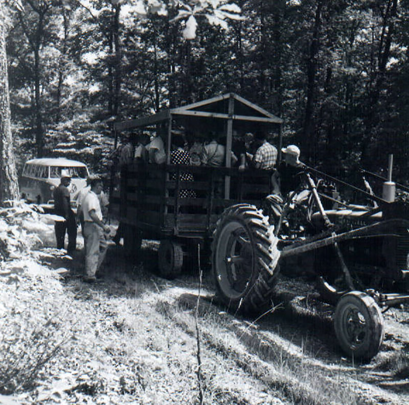 July 17, 1964
OFA
Photo ID#: RSWCD78