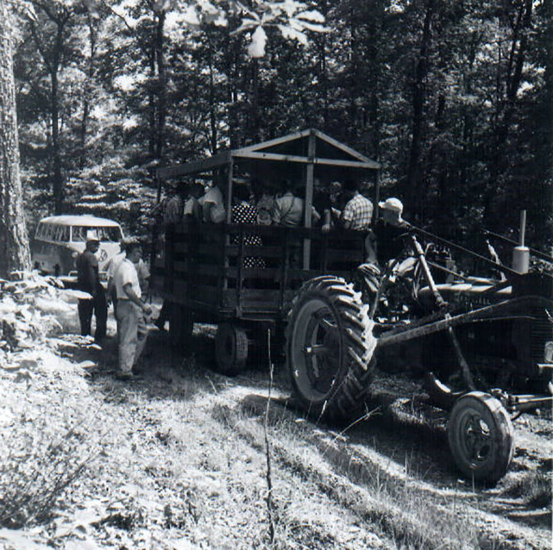 July 17, 1964
OFA
Photo ID#: RSWCD220