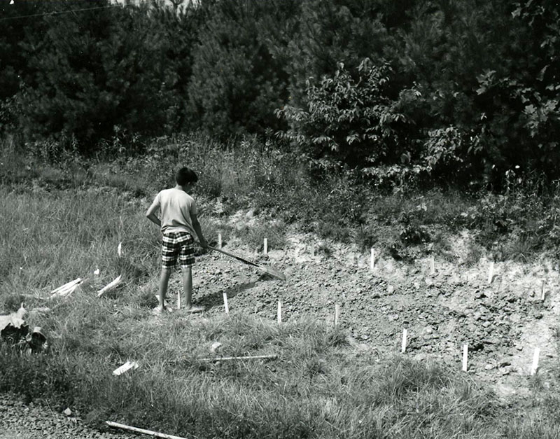 July 22, 1928
Rural Life Center, Tim Krouse
Troop 121
15x15 seedling patch
Photo ID#: Y89