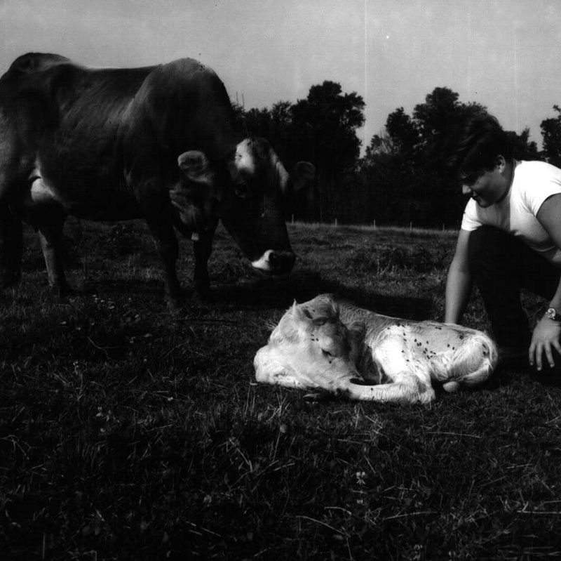 July 22, 1970
Dale Broeske Farm
Photo ID#: A447